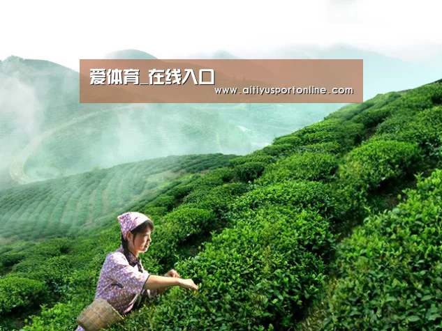 爱体育_在线入口