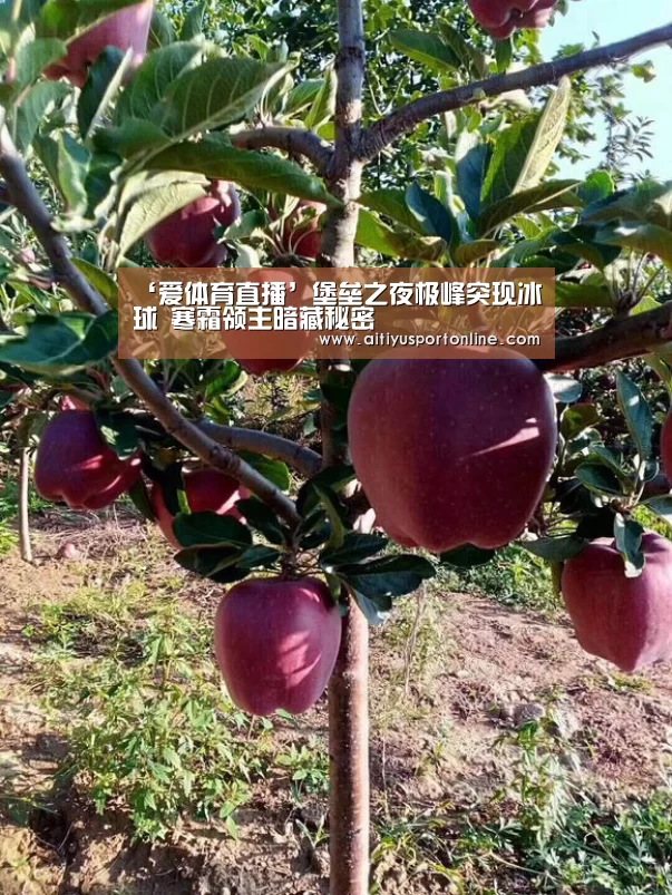 爱体育下载