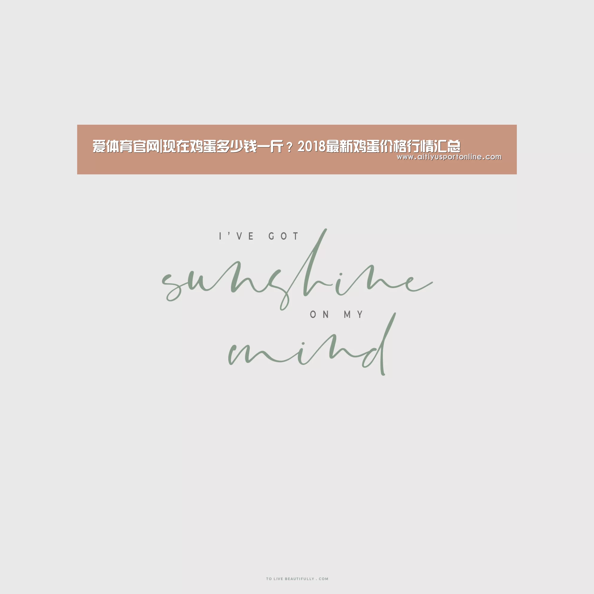 爱体育官网