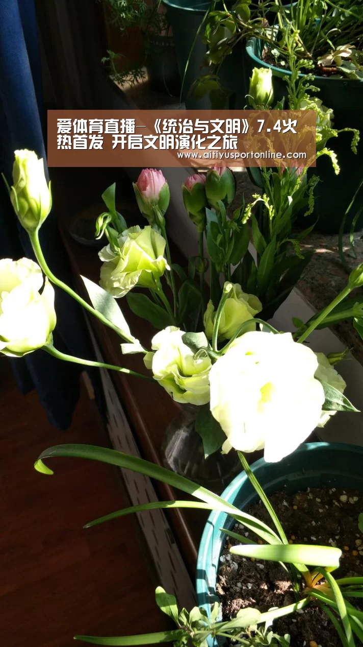 爱体育官网